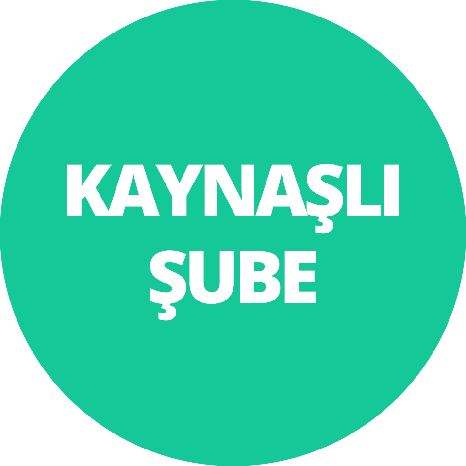 kaynaşlı şube
